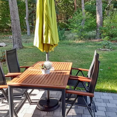 Reetdachhaus Kiek In Wald *