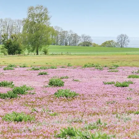 Reetdachhaus Kiek In' Wald Tatil Evi *