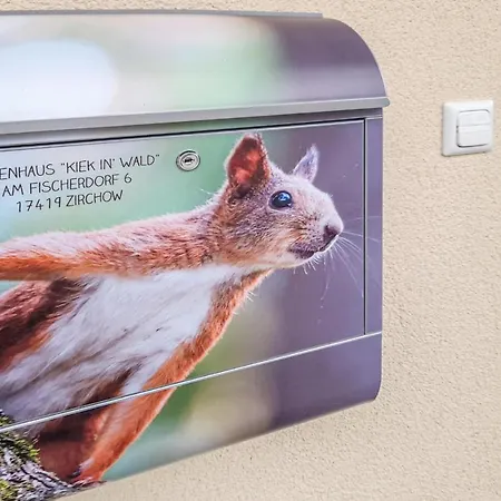 Reetdachhaus Kiek In' Wald Tatil Evi