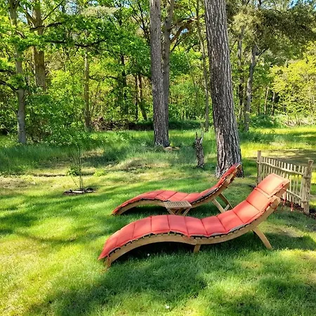 Reetdachhaus Kiek In' Wald Tatil Evi Garz (Usedom)