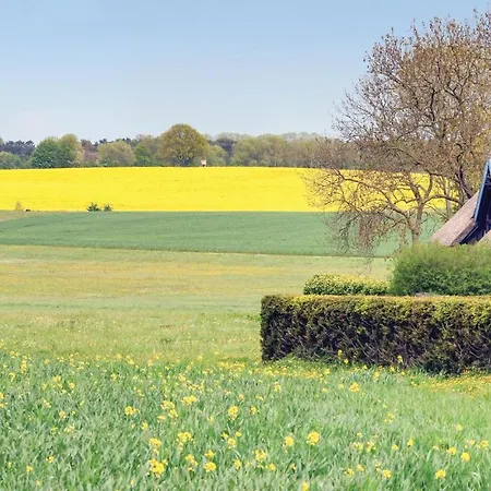 Reetdachhaus Kiek In' Wald Tatil Evi Garz (Usedom)