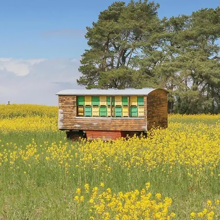 Reetdachhaus Kiek In' Wald Tatil Evi